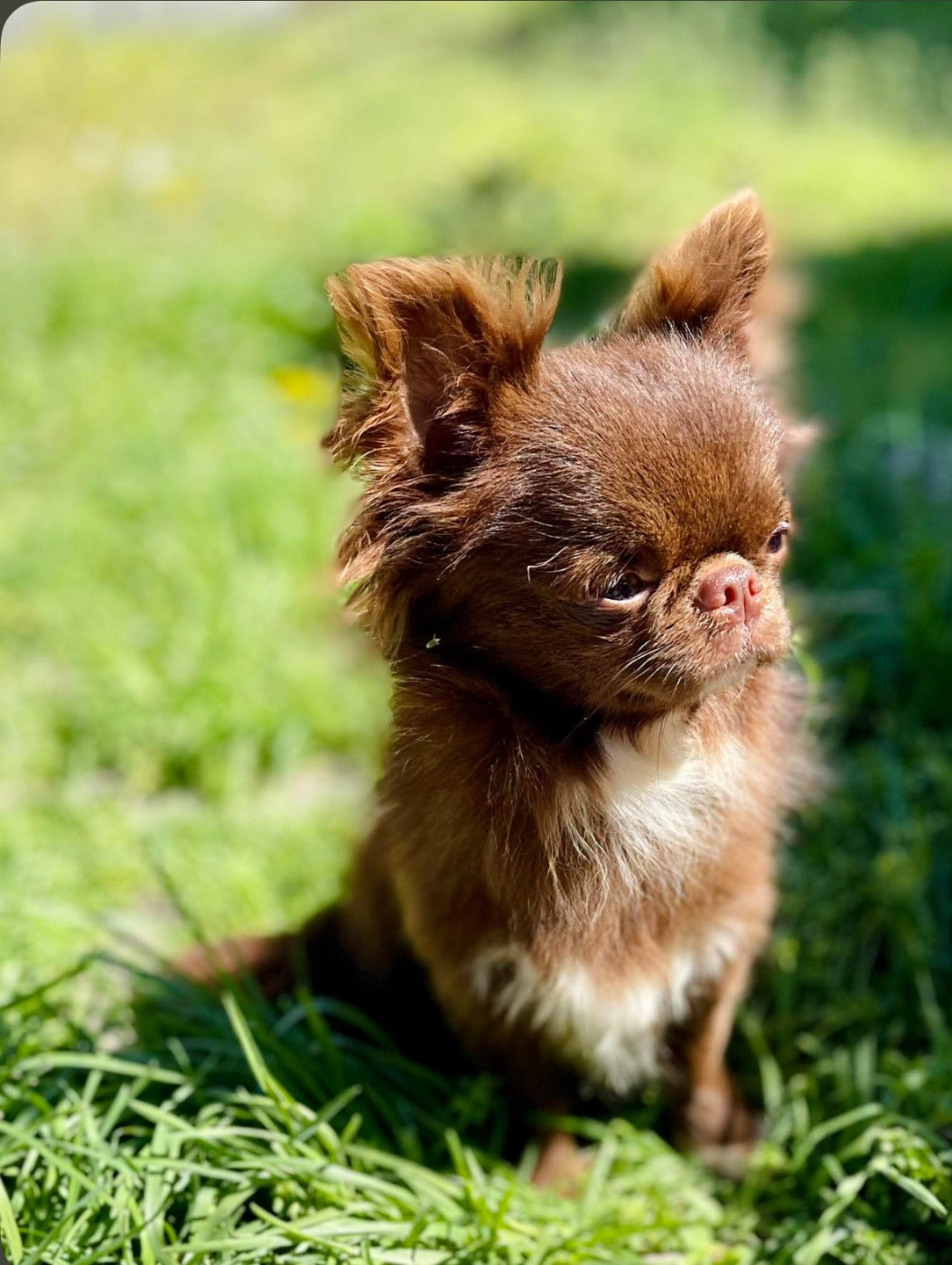 POSTKIPTUM simvol zhelaniya